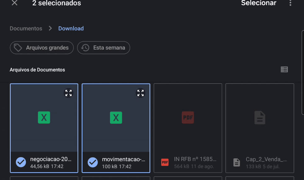 Seletor de arquivos com os dois arquivos xlsx marcados e os demais esmaecidos
